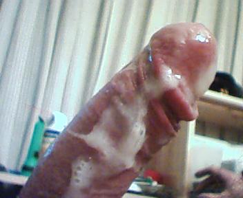 cock 003