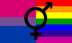 Bisxual Flag Combined With Gay Flag